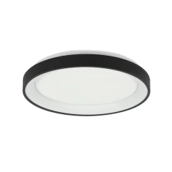 Steinhauer Plafondlamp Ringlede Dun Zwart Ø28cm