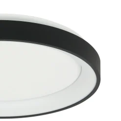 Steinhauer Plafondlamp Ringlede Dun Zwart Ø28cm