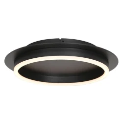 Steinhauer Plafondlamp Ringlux Zwart Ø32cm