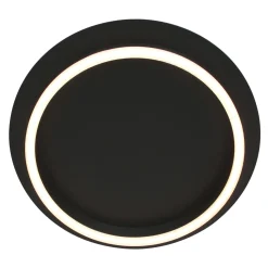 Steinhauer Plafondlamp Ringlux Zwart Ø32cm