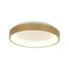 Steinhauer Plafondlamp Ringlede Dun Goud Ø28cm