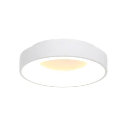 Steinhauer Ringlede Wit Ø38cm 30w