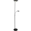 Steinhauer Zenith LED Vloerlamp 2-lichts Zwart 185cm