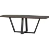 Woood Eettafel Tablo Deens Ovaal Dl 220x100cm Mystic Brown