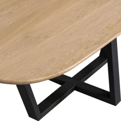 Woood Eettafel Tablo Organisch Dl 220x100cm Transparant