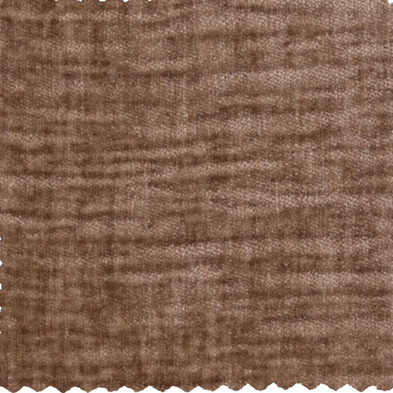 Woood Hocker Statement Chenille Velvet Taupe