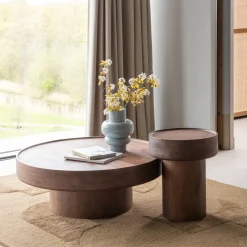 Woood Salontafel Dara Mangohout Bruin