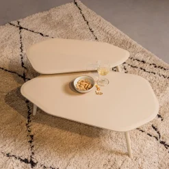 Woood Salontafel Davina Dust Set van 2