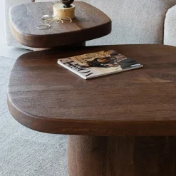 Woood Salontafel Nodu Mangohout Bruin
