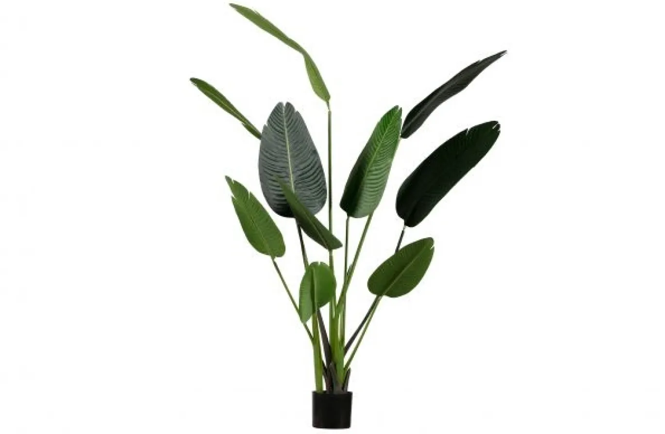 Woood Strelitzia Kunstplant Groen 164cm